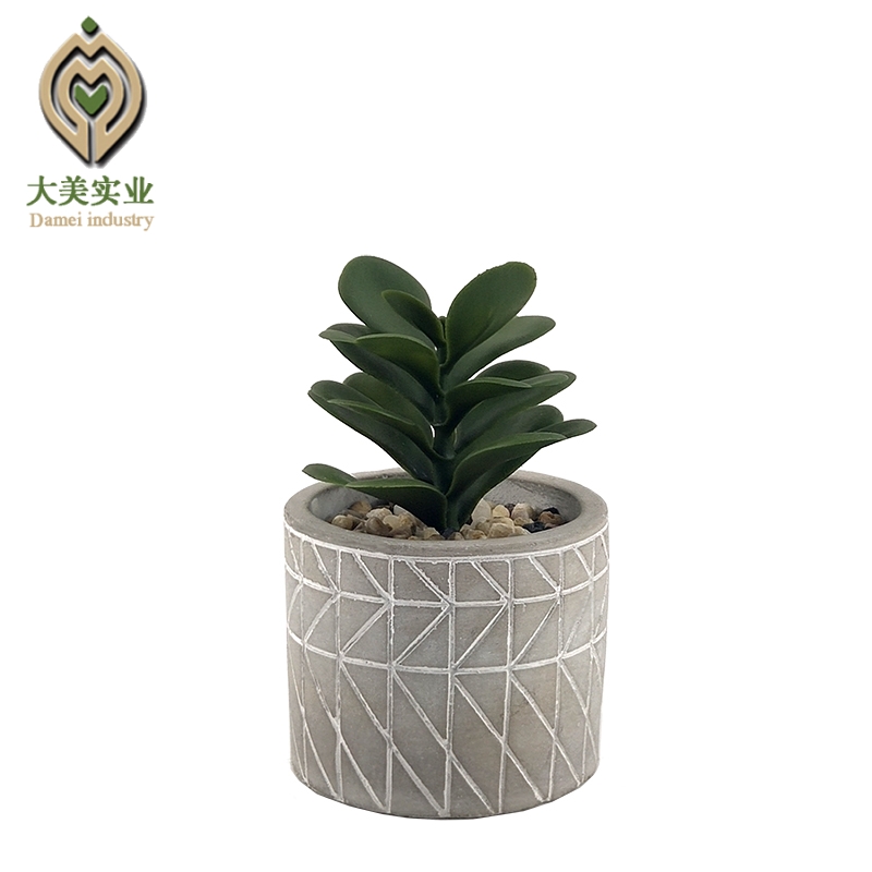 仿真多肉植物